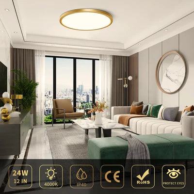 12 Inch 24W White / Gold Round Ceiling Light – AC 110–130V | 3000K / 4500K / 5000K / 6500K | Flush Mount Ceiling Light for Modern Home Lighting | 1-Pack – Local Stock (US)