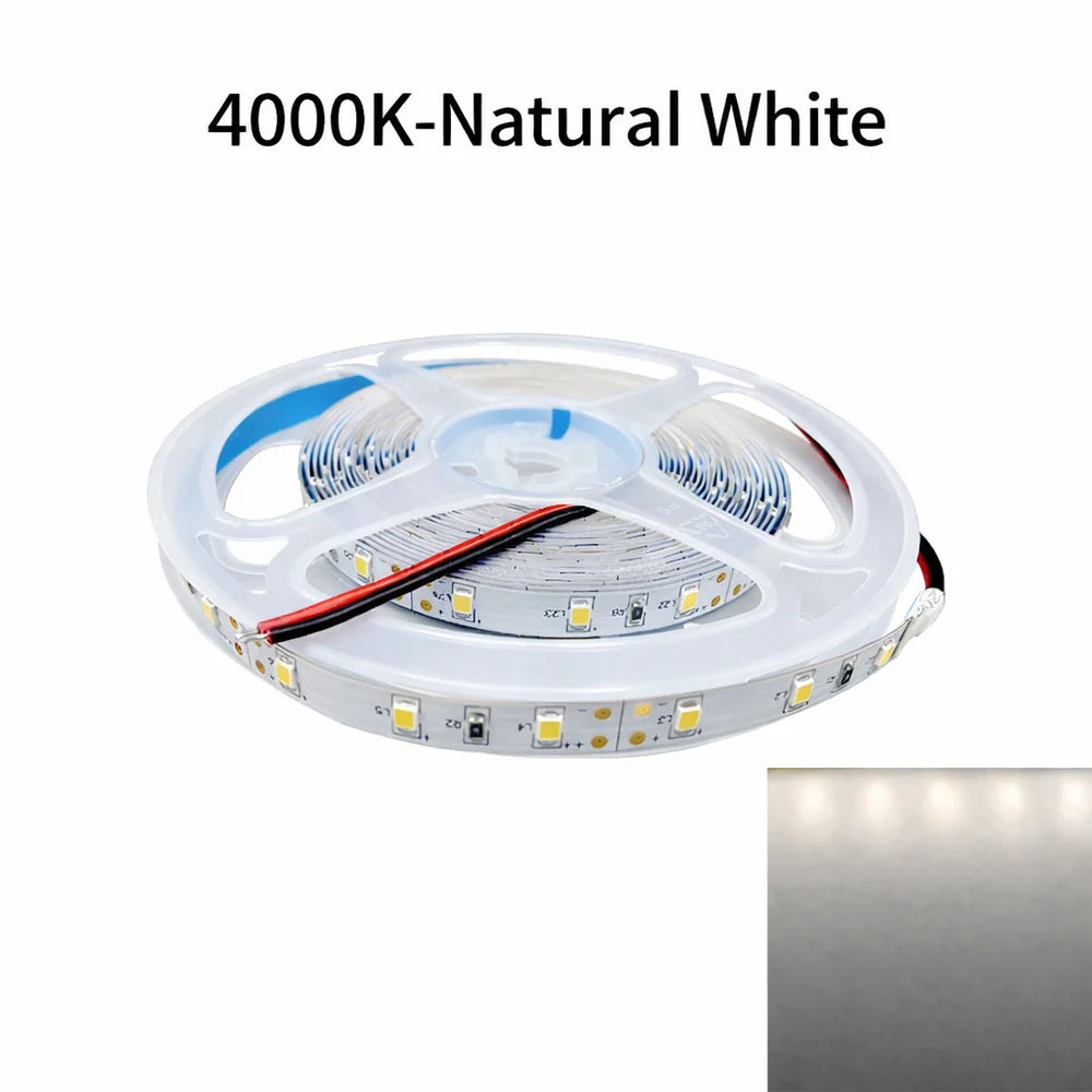 DC24V SMD2835 Single Color LED Strip Light | 5M | 60 LEDs/m | 8mm PCB | 0.2W per LED | High Brightness | IP00 / IP67 | Warm White / Natural White / Cool White / Blue | for Mirror, Kitchen Cabinet, Bedroom