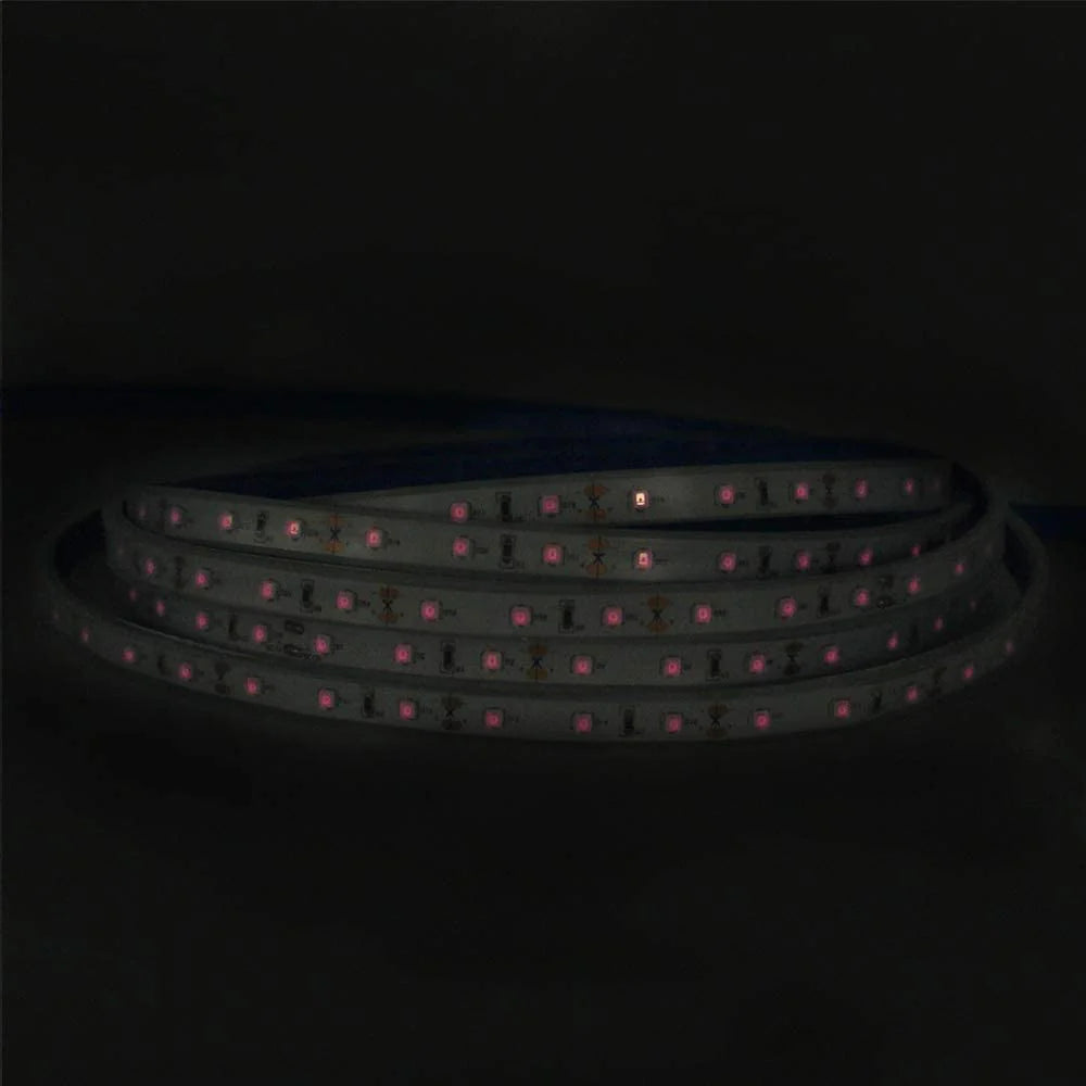 LightingWill 810nm SMD2835 DC12V IR LED Strip Light – 60/120/240 LEDs/m, 5 Meters, IP00/IP65