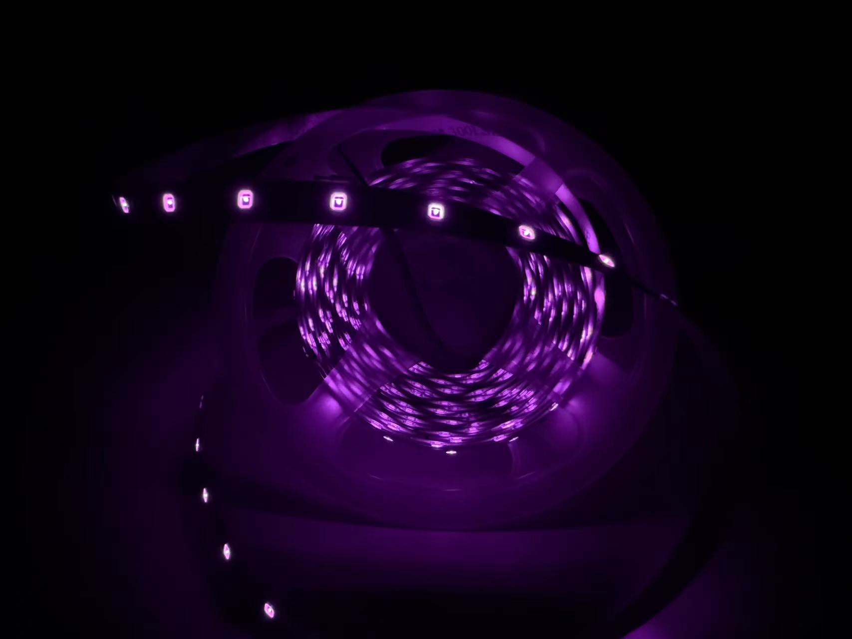 810nm SMD2835 DC12V Infrared LED Strip Light – Near IR for Therapy & Circulation, 60/120/240 LEDs/m, 5 Meters, IP00/IP65