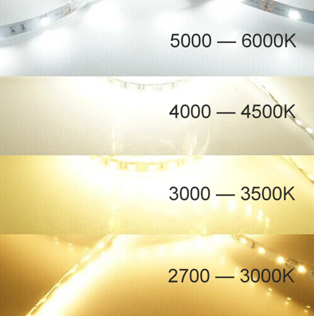 SMD2835 LED Strip Light, 5m Roll | 12V / 24V DC | 120 LEDs/m | 12W/m | White 3000K / 4000K / 6000K | 8mm PCB | IP00 / IP65 / IP67