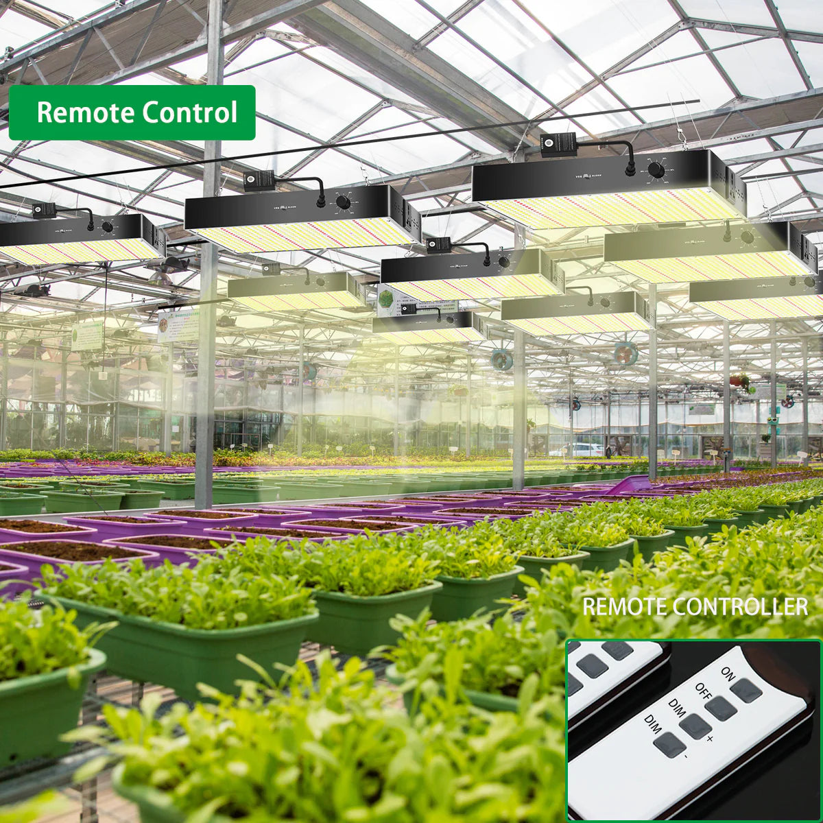 GP Series Professional Full Spectrum LED Grow Light - AC110 – 220V | 100W / 150W / 200W / 300W / 400W | 3.5×3FT – 6×5FT Coverage | VEG & Bloom Dual Mode | 0 – 10V Dimming | Daisy Chain & Built-In Silent Fan | Hanging Rope | US / EU / UK / AU Plug