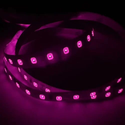 810nm IP65 Waterproof DC12V-IR LED Strips-SMD2835/SMD5050-30/60/120/240 LEDs/m-5/50 Meters-Near Infrared Light, Wellness Light, Body Care, NIR Light