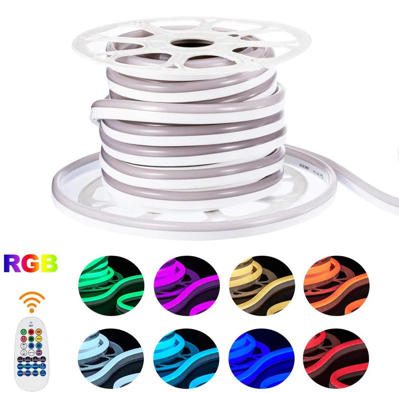 LightingWill 10x20mm SMD5050 60LEDs/m RGB High Voltage LED Neon Rope Light AC110V/220V 12W/m, IP65 Waterproof Flexible Neon Strip with Remote Control and Power Plug, for Indoor and Outdoor Decoration, 10/50M