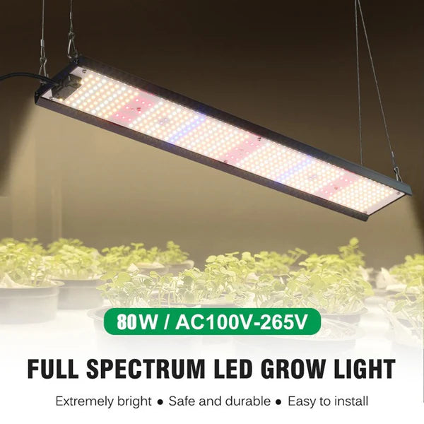 Full Spectrum Quantum Panel LED Grow Light - AC100–265V | 80W | SMD2835 - 411 LEDs | 5000K / 3000K + 660nm Red + 730nm IR + 460nm Blue + 395nm UV | Included Hanging Rope, Switch Power Supply | for Indoor Plants & Hydroponics