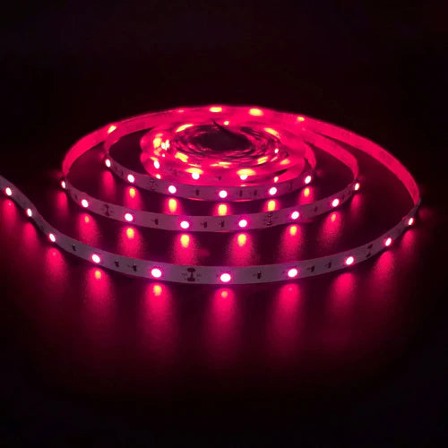 730–735nm IP65 Waterproof DC12V-IR LED Strips-SMD2835/SMD5050-30/60/120/240 LEDs/m-5/50 Meters-Plant Grow Light, Horticulture Lighting, Seedling Growth, Indoor Plant Light