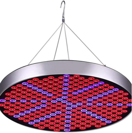 LED Grow Light 50W AC90~265V 250LEDs Round Plant Growing Lamp Red and Blue LED Chips Indoor Greenhouse Plant Grow Indoor Plants LED Lamp