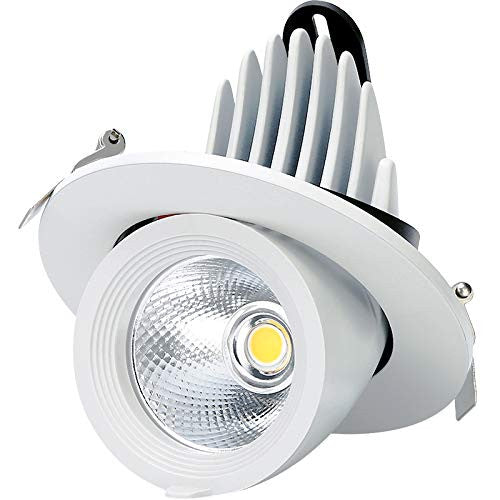 10W / 18W / 24W Home Design Dacheinbauleuchte Downlights